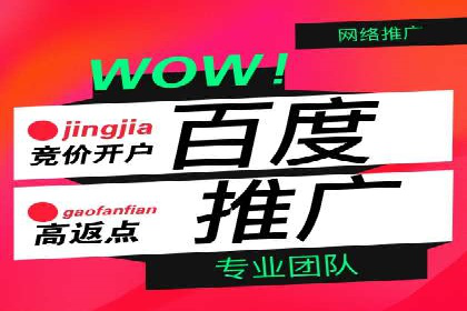 实战解析：百度推广开户成功案例分析